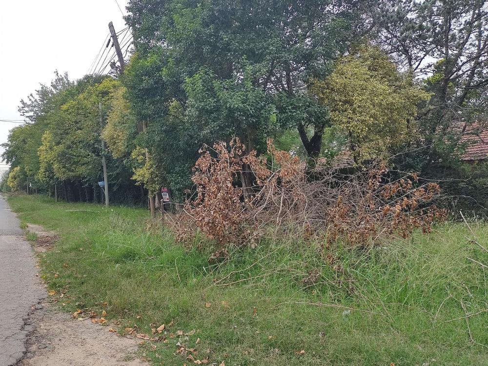 IMG_20210408_121302356_HDR (1)