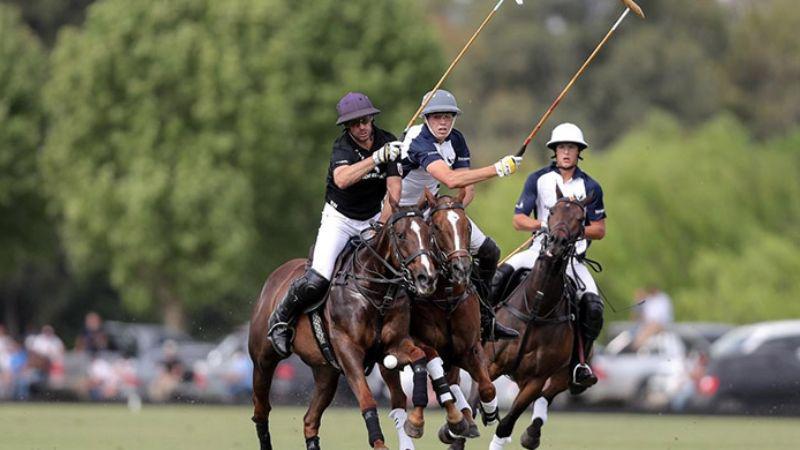 f800x450-106723_158169_5050