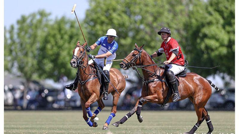 PN-Ellerstina