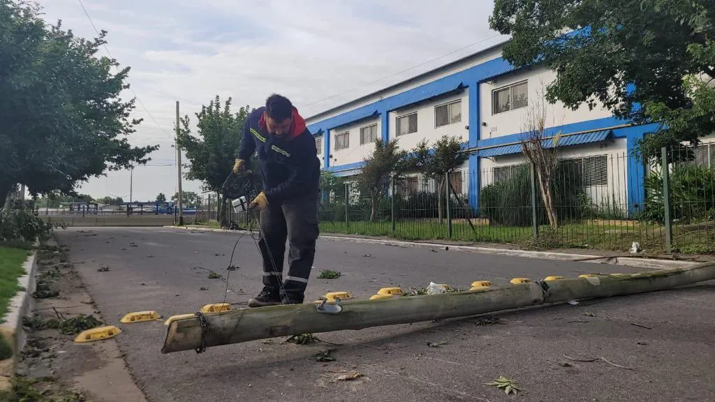 WhatsApp Image 2023-12-19 at 09.52.52 (1)