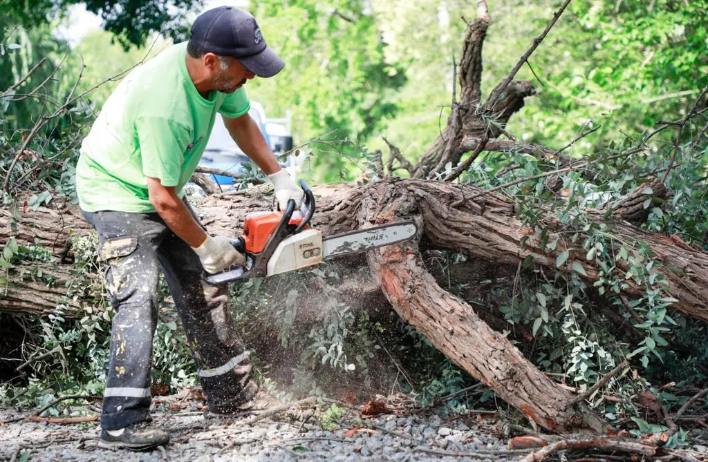 WhatsApp Image 2023-12-21 at 11.02.39 (1)