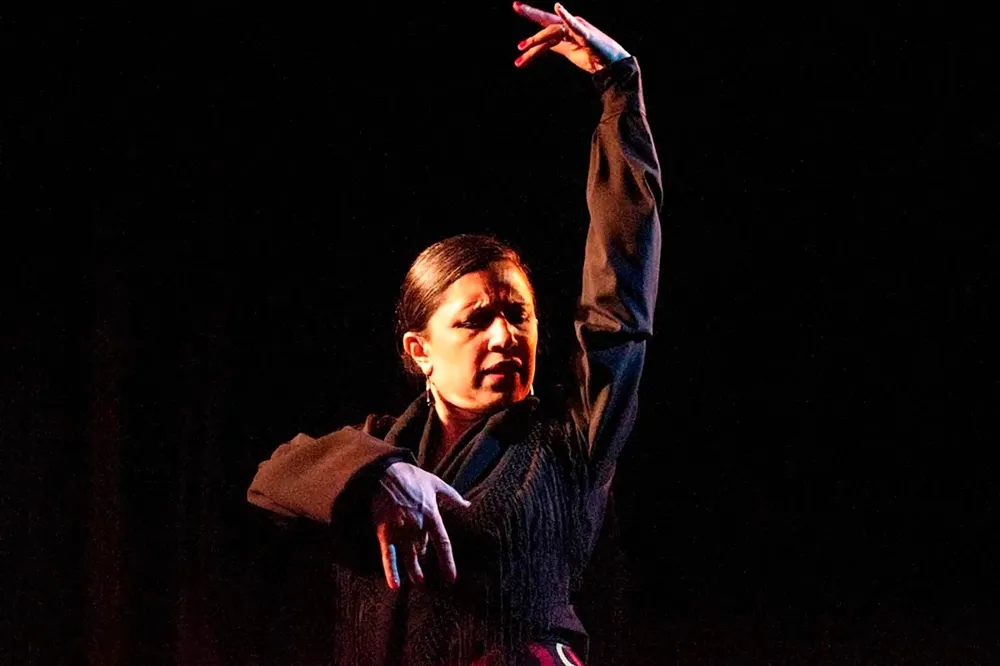 PN-flamenco