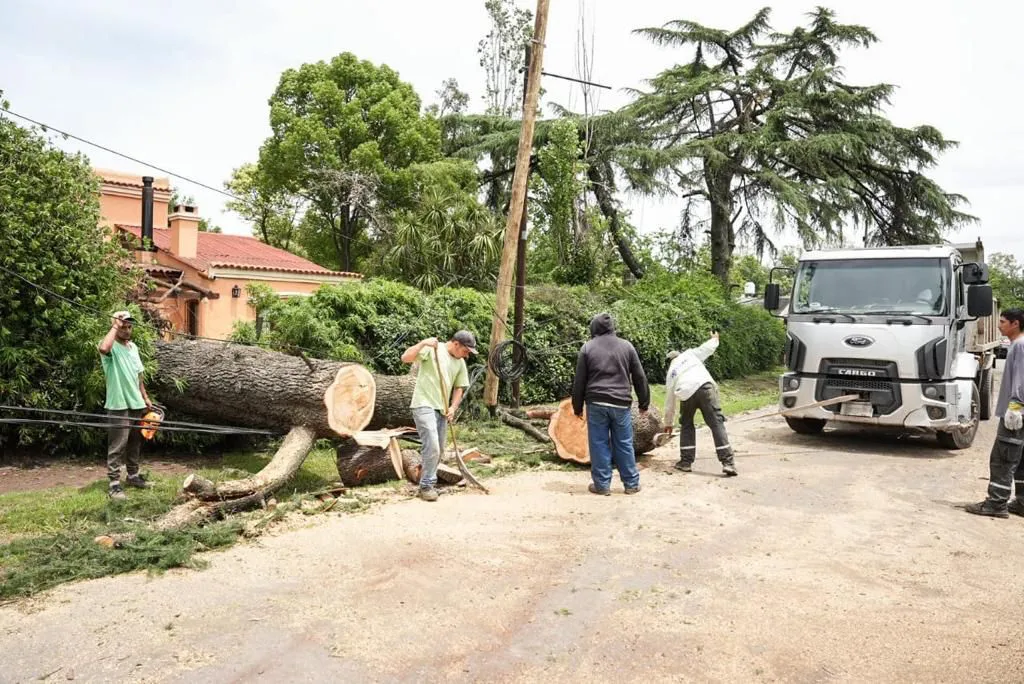 WhatsApp Image 2023-12-20 at 20.35.44 (1)